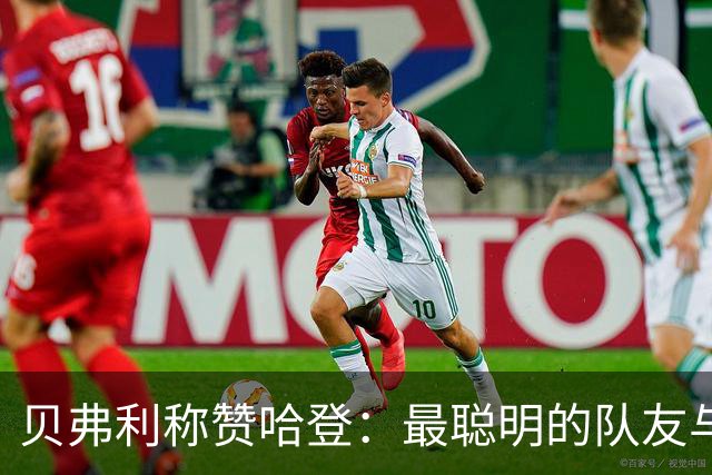 贝弗利称赞哈登：最聪明的队友与卓越的传球手